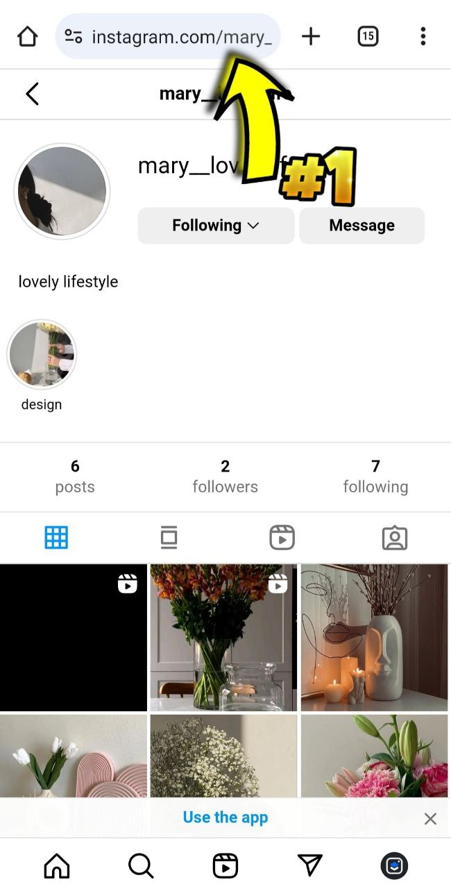 how download instagram private