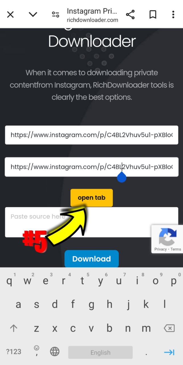 how download instagram private