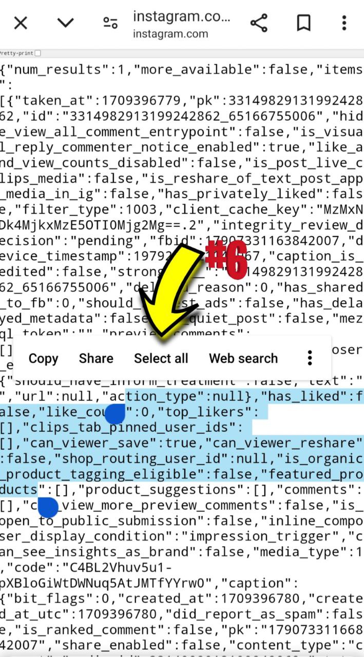 how download instagram private