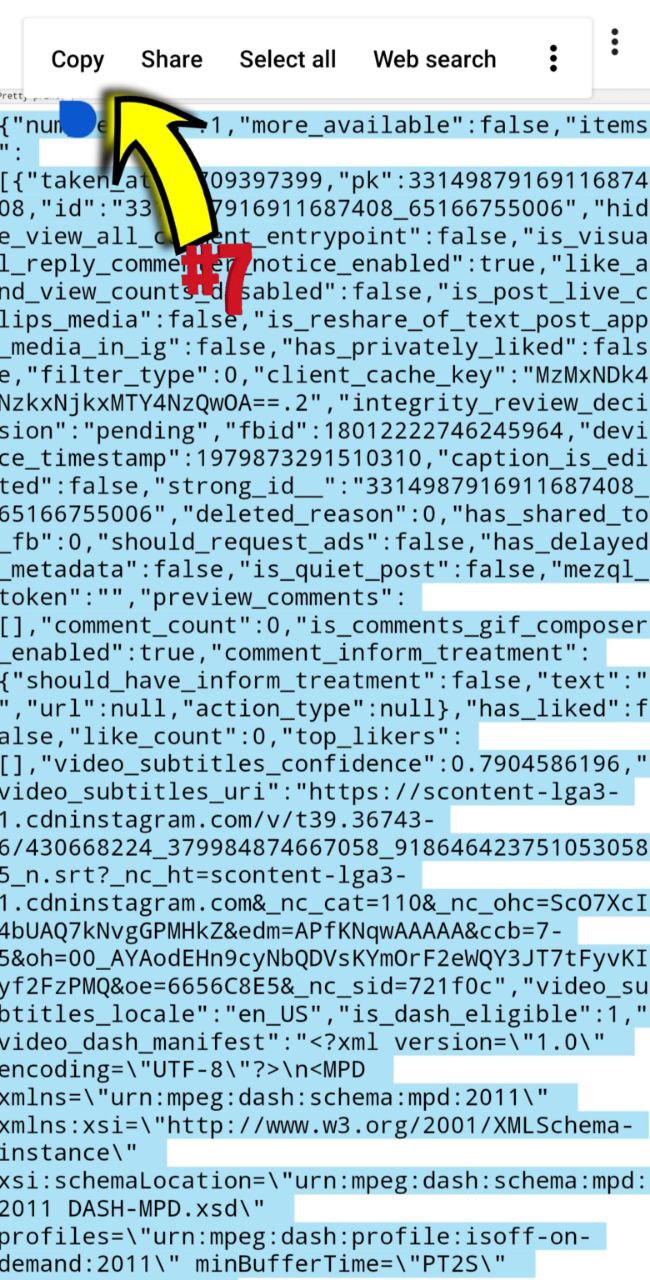 how download instagram private