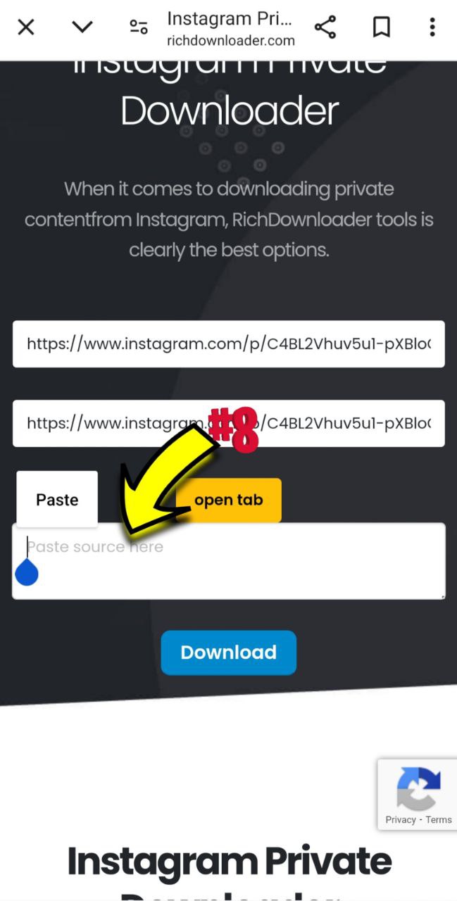 how download instagram private