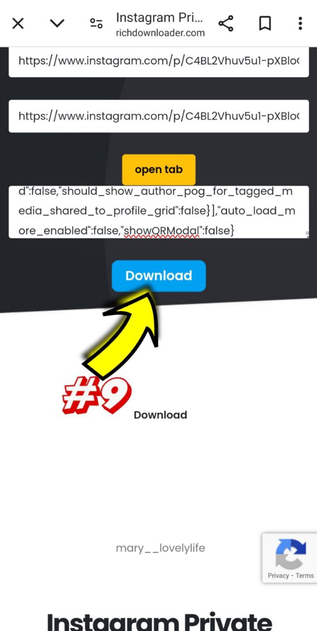 how download instagram private