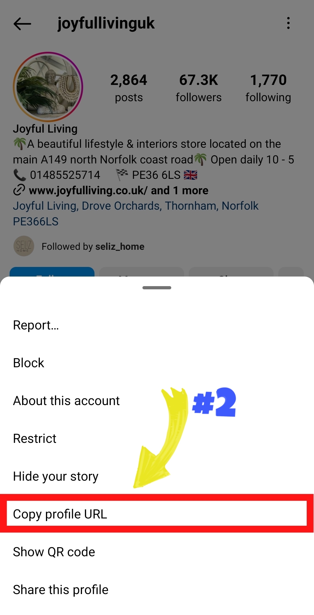 how download instagram profile